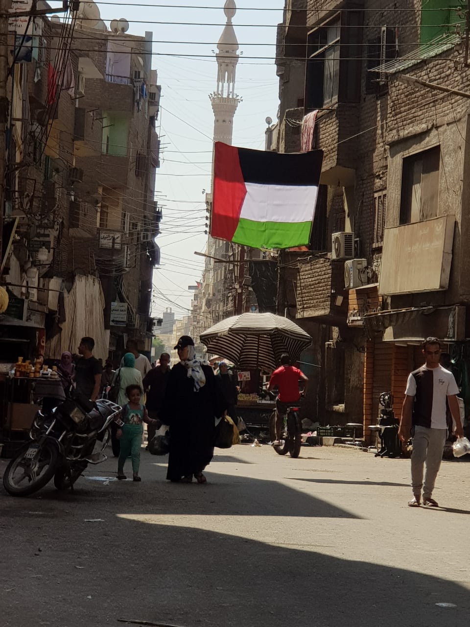 العلم الفلسطيني