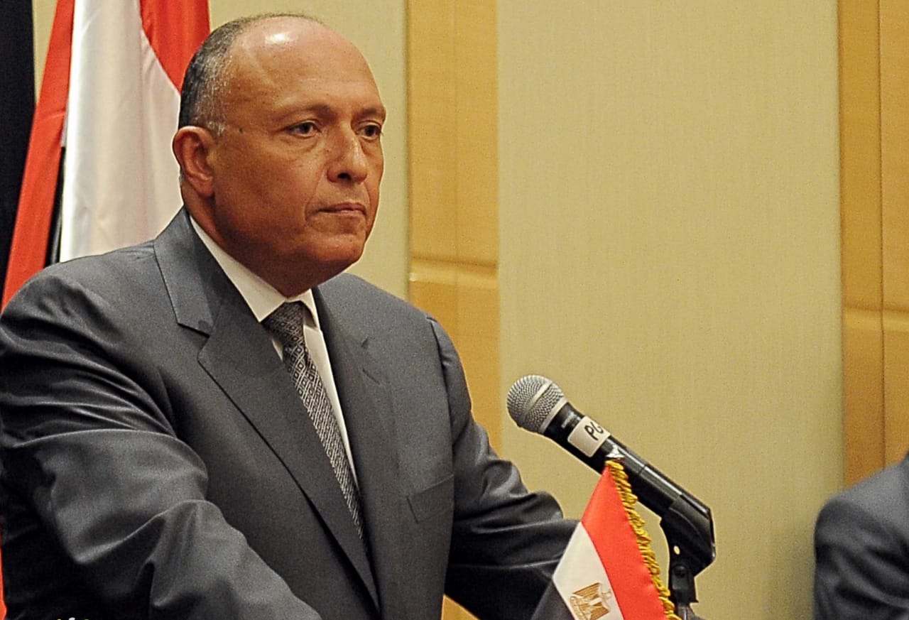 «شكري» يبحث مع مفوض «حقوق الإنسان» إنفاذ المساعدات لغزة