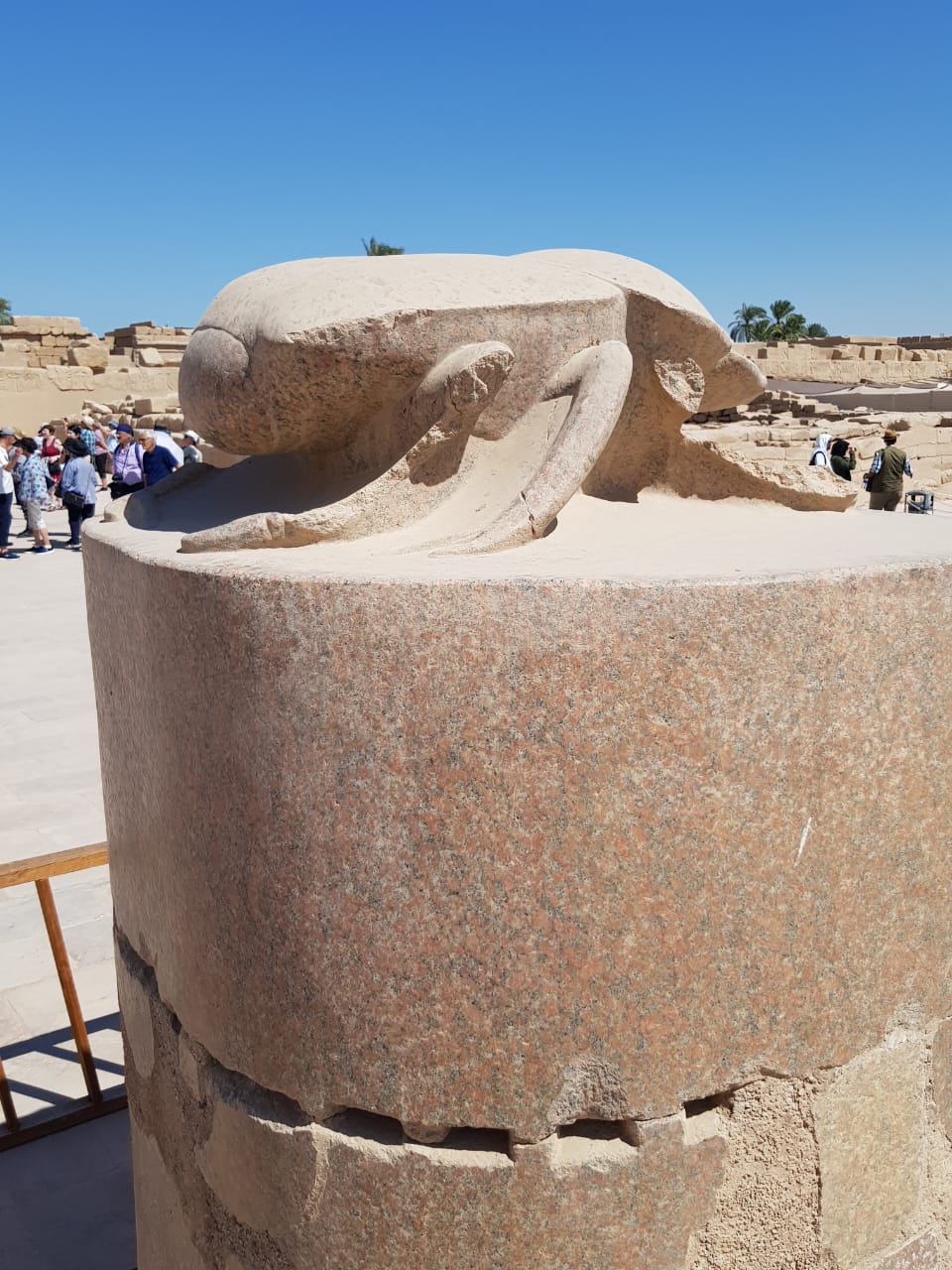 الجعران المقدس