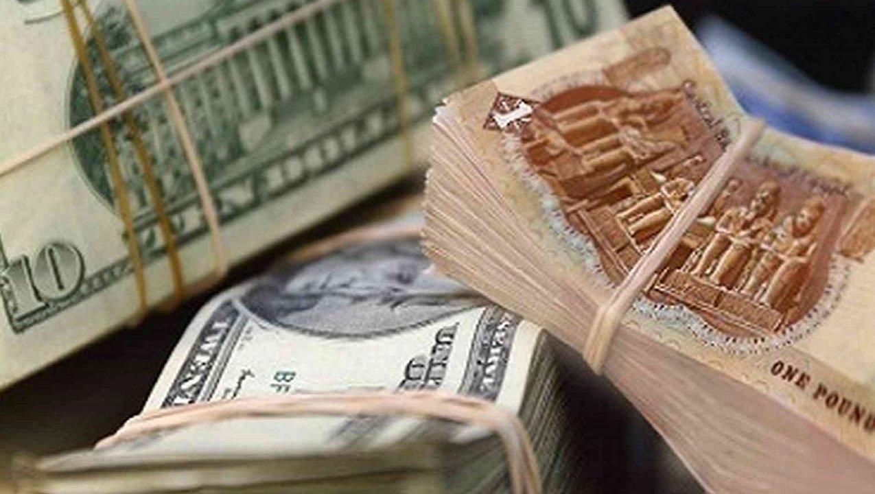 سعر الدولار امام الجنيه