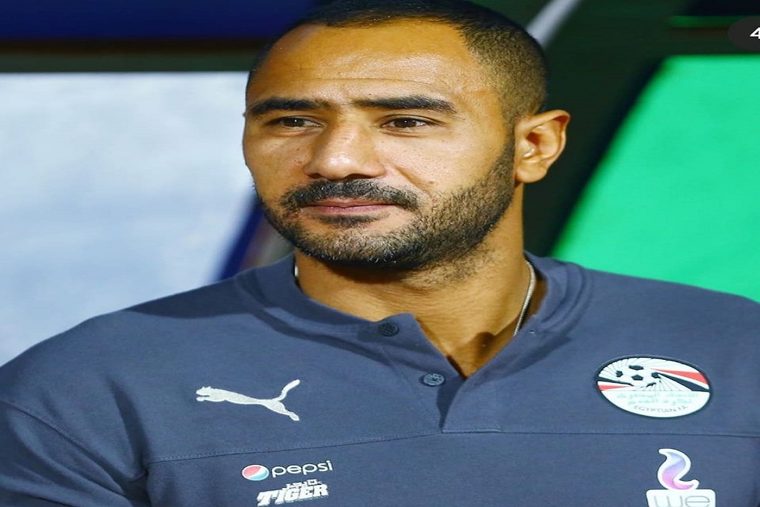 محمد شوقي