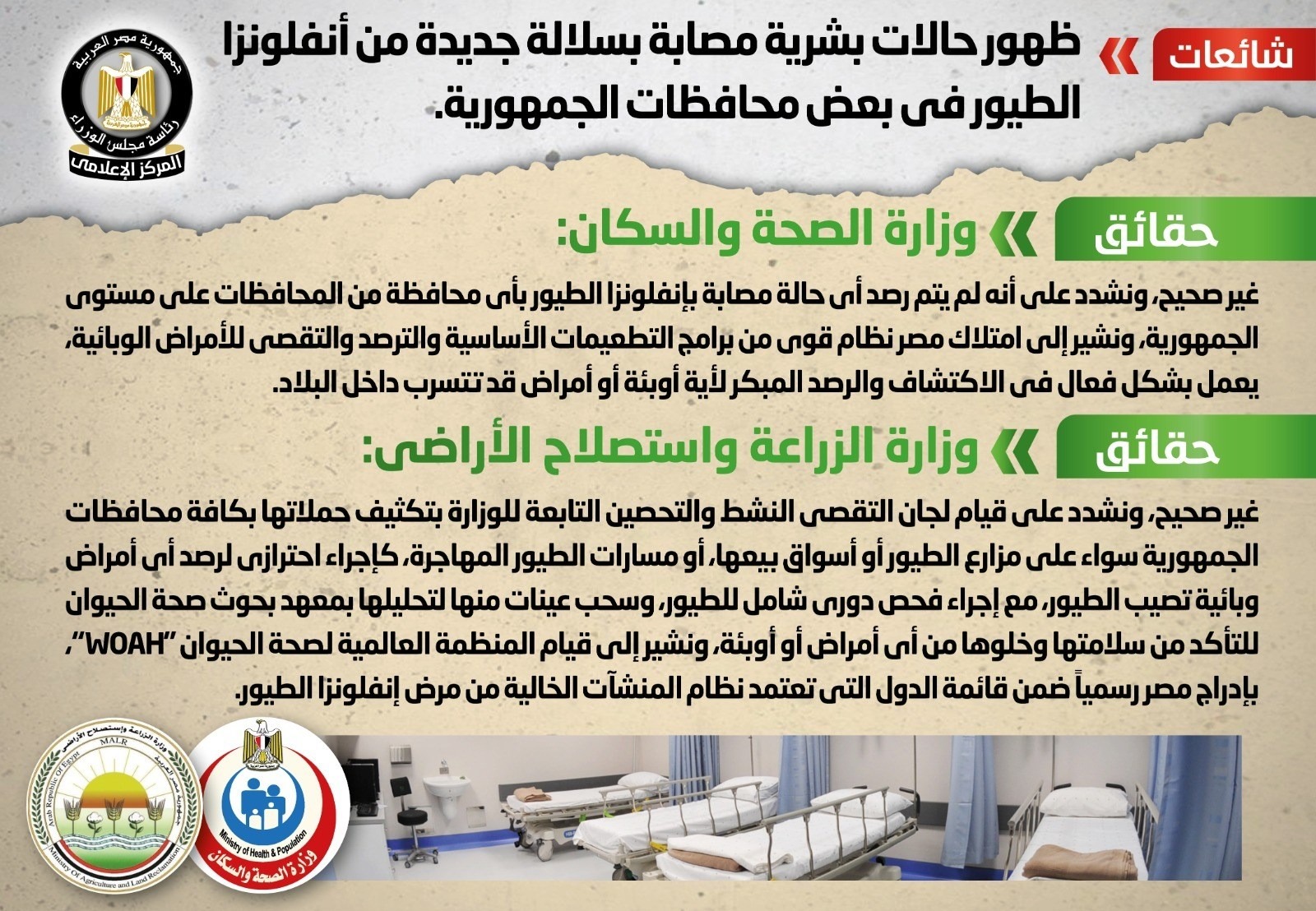 الوزراء: لا توجد سلالة جديدة من إنفلونزا الطيور