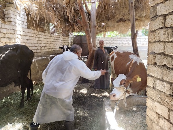 انطلاق الحملة القومية الثالثة للتحصين ضد الحمى القلاعية والوادي المتصدع بأسيوط