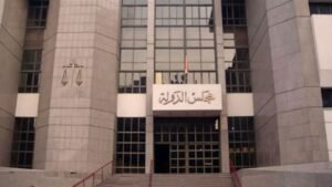 مجلس الدولة 