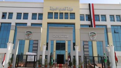 لخريجي دفعة 2023.. خطوات التقديم للحصول على وظيفة بهيئة قضايا الدولة