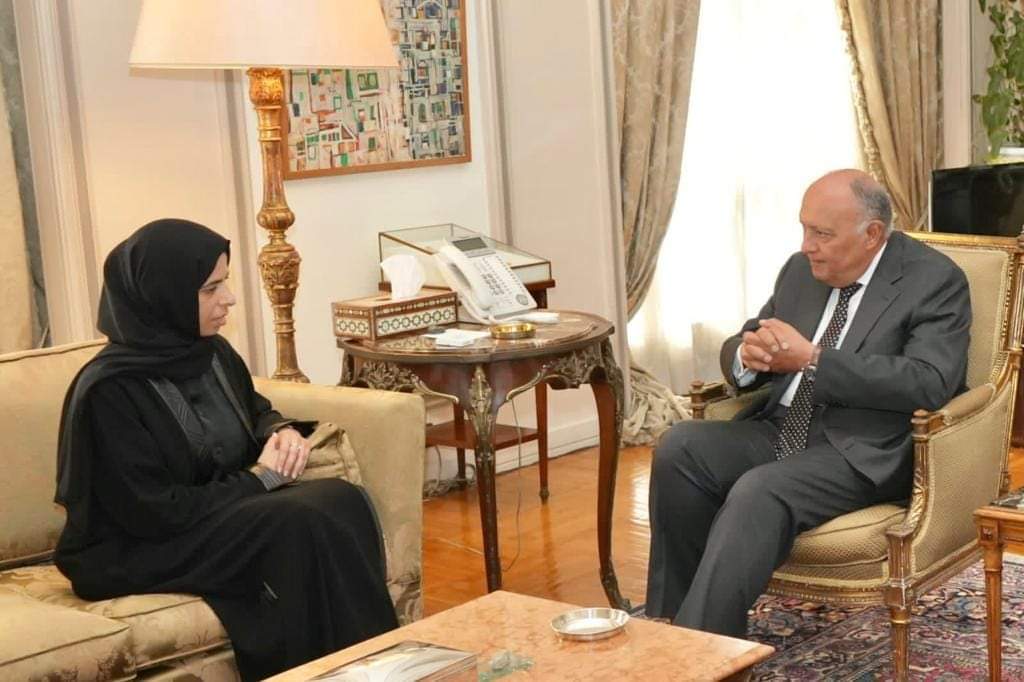 سامح شكري يبحث أزمة غزة مع وزيرة التعاون الدولي القطرية