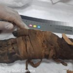 وزارة السياحة تتسلم عددًا من القطع الأثرية المستردة من نيوزيلاندا