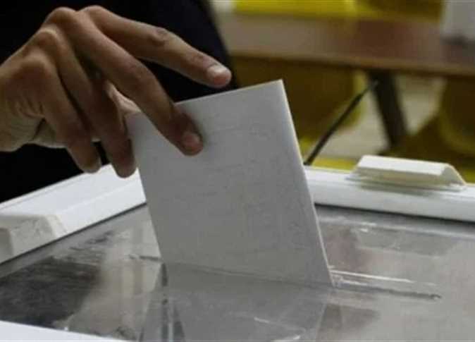 انتخابات الرئاسة 2024.. توافد المصريين في ألمانيا
