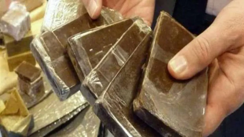 ضبط عاطل بحوزته 175 طربة حشيش بالإسكندرية