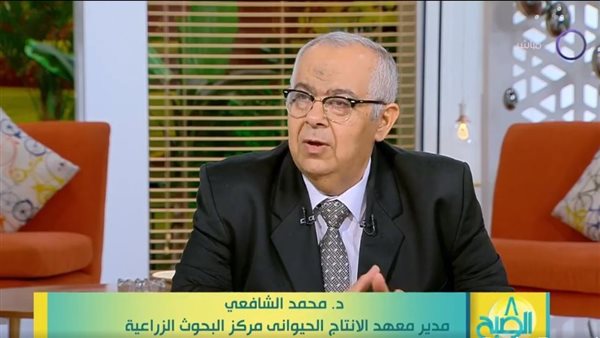 هل ذبحت الزراعة سلالات دواجن نادرة؟.. إليك القصة كاملة