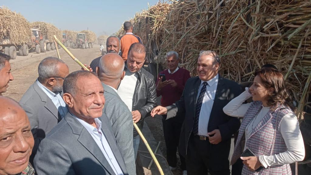 توريد 100 ألف طن قصب لـ3 مصانع