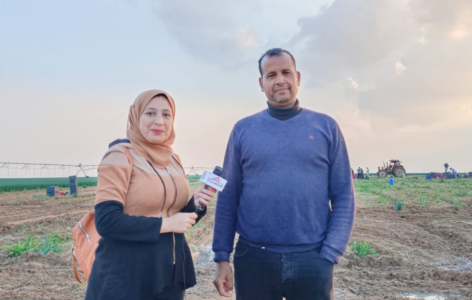 بصل أورجانيك.. المصرية تشارك في حصاد البصل الأخضر بالإسماعيلية