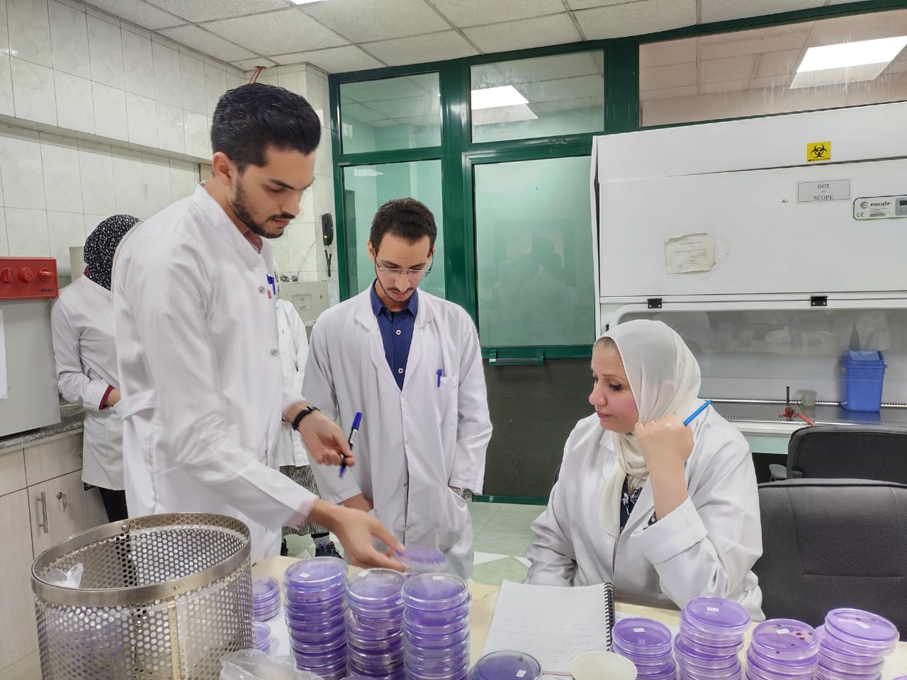"الزراعة" تكشف عن أبرز أنشطة مشروع مكافحة وحصر العفن البني في البطاطس