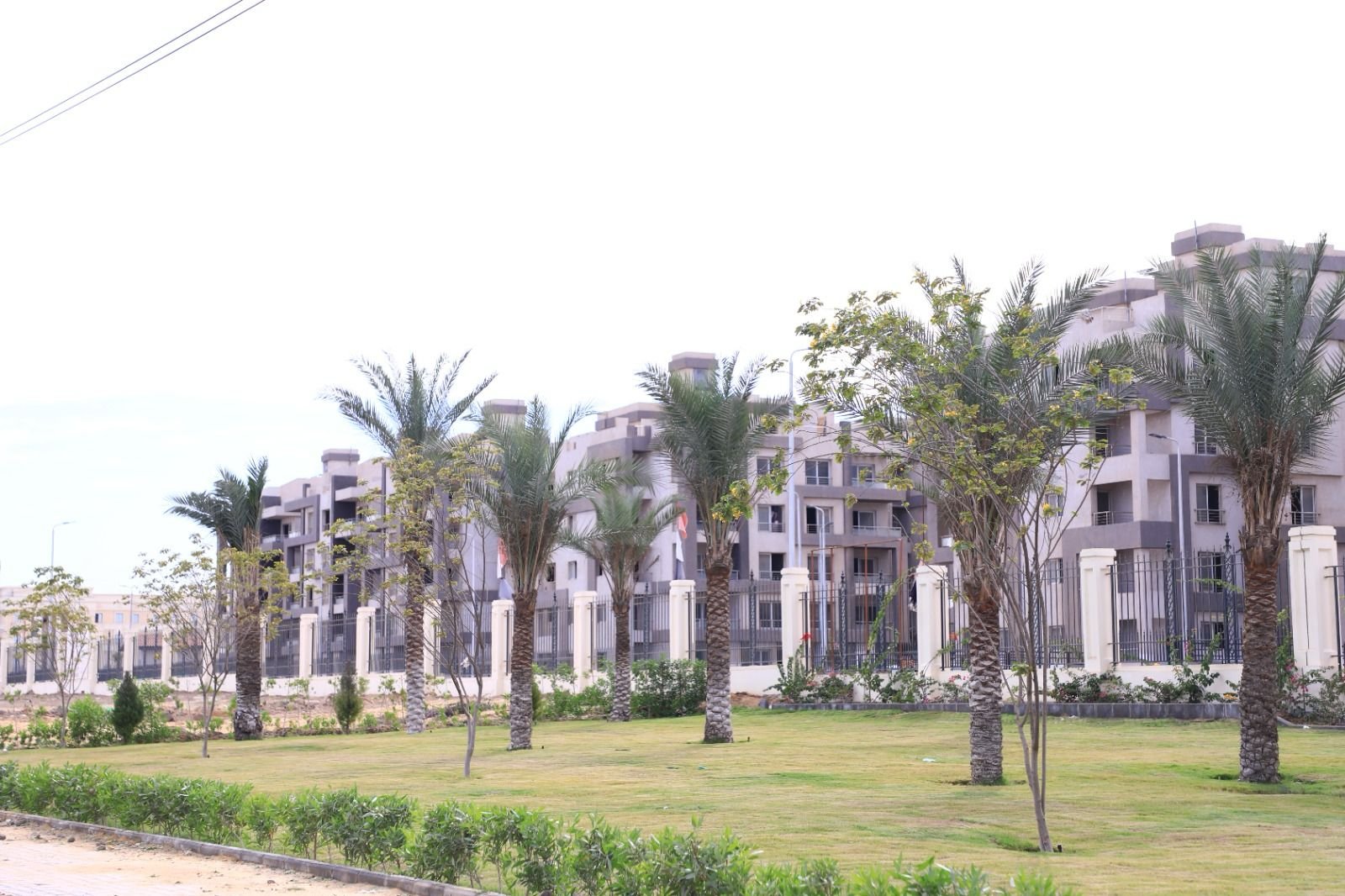 جامعة القاهرة: الانتهاء من مشروع إسكان هيئة التدريس فى صدارة أولويات 2024