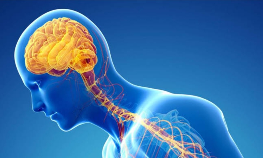 يسبب تنميل الجسم.. مرض عصبي يؤدي للشلل والوفاة 