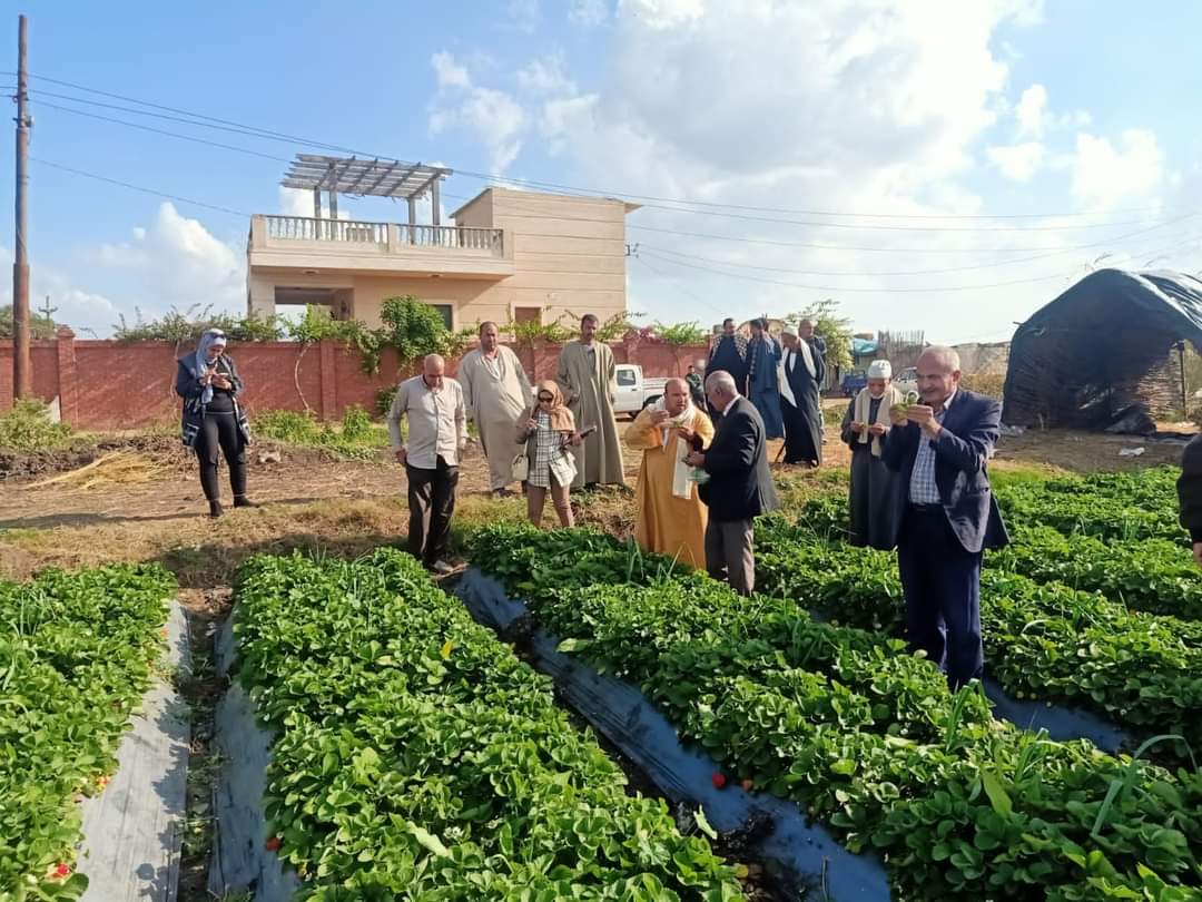 الزراعة: المركزية لمكافحة الآفات تتابع المحاصيل الاستراتيجية الشتوية