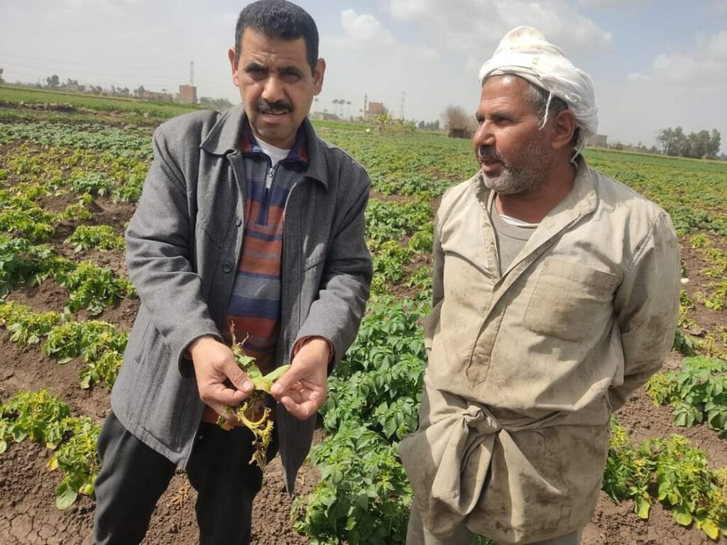 الزراعة" تتابع زراعات الخضر وتراخيص المشاتل في ٤