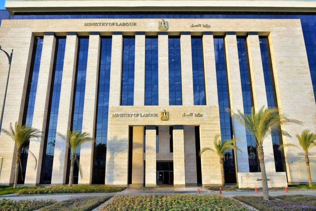 جهود وزارة العمل لمواجهة «الهجرة غير الشرعية»
