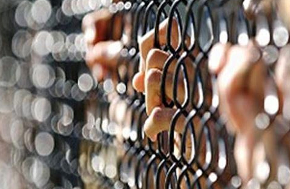 إنهاء حياة طبيب التجمع الخامس