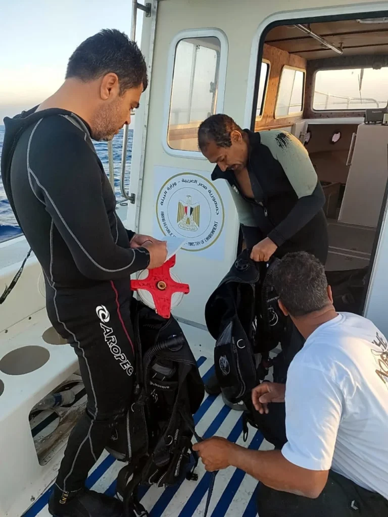 ياسمين فؤاد: التحفظ على السفينة الدولية الجانحة بخليج العقبة بعد خروجها