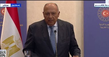 سامح شكرى: حذرنا مرارا من أن الحرب بغزة ستؤدى إلى توسع الصراع فى المنطقة