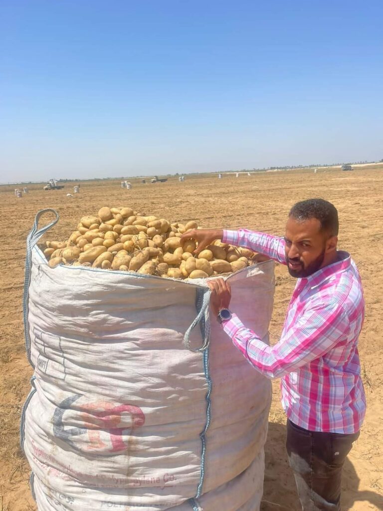 «بلابل» تكشف عن أبرز أنشطة مشروع مكافحة وحصر العفن البني في البطاطس