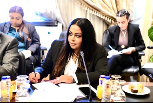 برلمانية: توافق في الرؤي بين «مصر و أذربيجان» لوقف إطلاق النار في غزة وإحلال السلام بالمنطقة