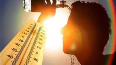 طقس اليوم.. حار شمالا شديدة الحرارة جنوبا والعظمى باسوان 42 درجة