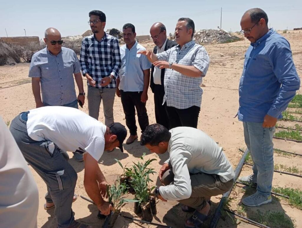 بحوث الصحراء ينظم قوافل إرشادية بشمال سيناء لتحقيق التنمية الزراعية المستدامة