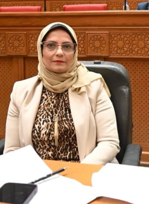 تحرك برلماني عاجل لأعفاء كافة الشركات والمستثمرين من الضرائب العاملين بمجال الألواح الشمسية