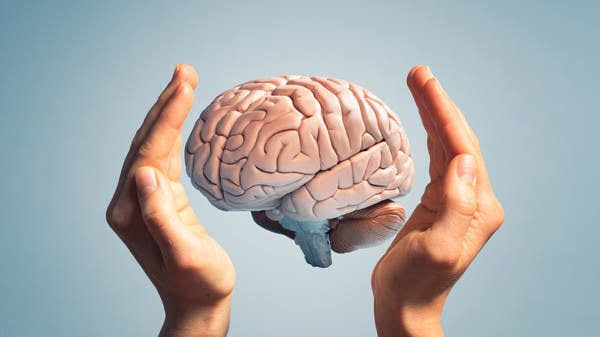 7 عادات يومية تدمر أنسجة الدماغ