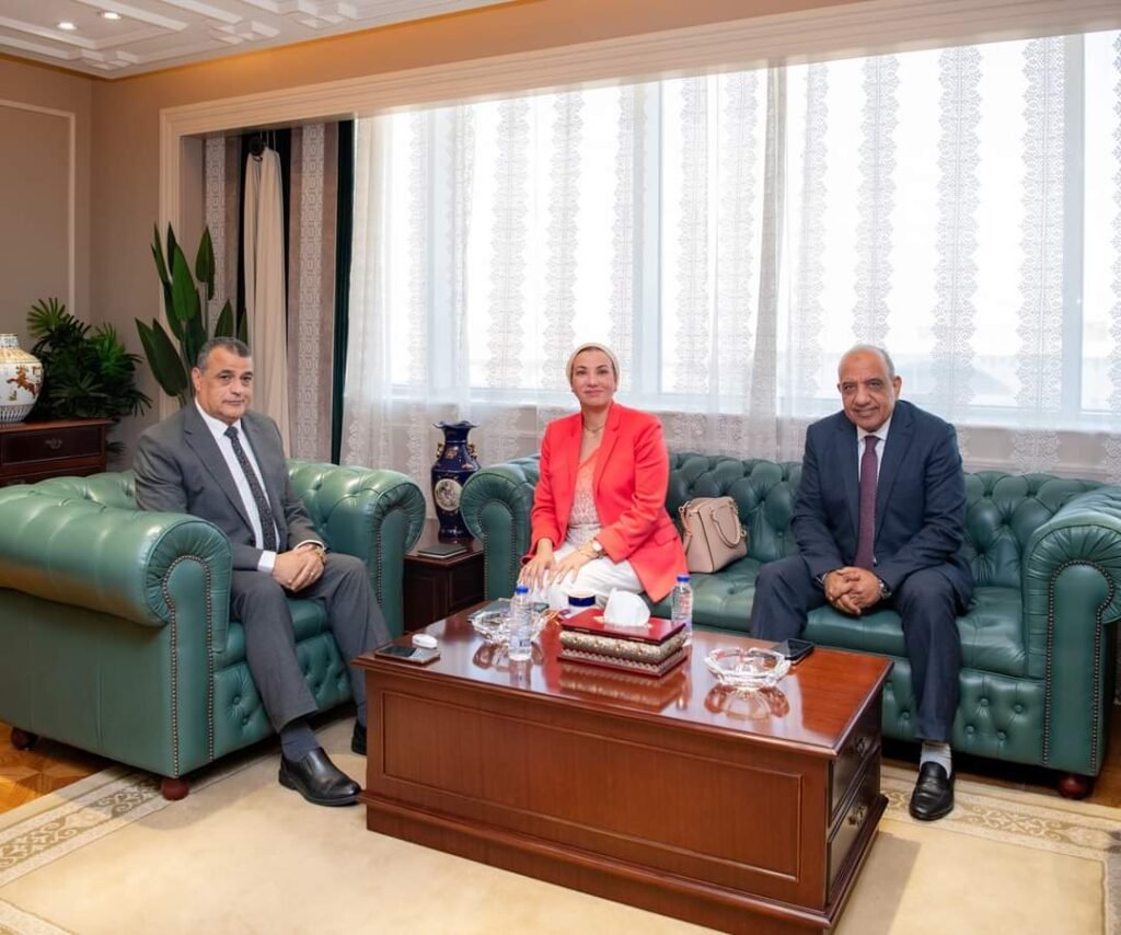 «وزير الدولة للإنتاج الحربي» يجتمع بوزيري البيئة والكهرباء لمناقشة التعاون المشترك