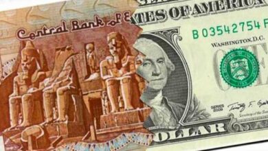سعر الدولار اليوم الجمعة 2 أغسطس 2024 مقابل الجنية  