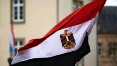 مصر تدين الهجوم الارهابى في ولاية يوبي بشرق نيجيريا