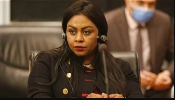 برلمانية: مشاركة السيسي في مجموعة العشرين يعزز قوة مصر الدولية والإقليمية والأفريقية