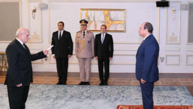 المستشار محمد الشناوي رئيس هيئة النيابة الإدارية