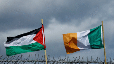 إيرلندا وفلسطين