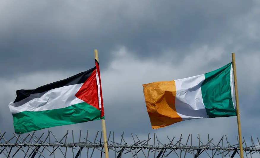 إيرلندا وفلسطين
