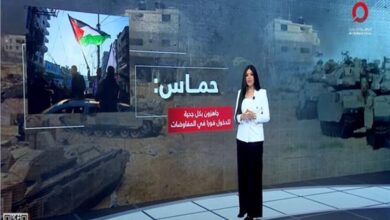 الإعلامية أمل الحناوي الإعلامية أمل الحناوي
