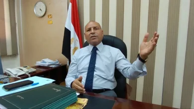 الدكتور إبراهيم صابر محافظ القاهرة