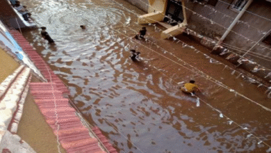 سقوط أمطار غزيرة بمحافظة المنوفية