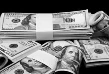 استقرار سعر صرف الدولار أمام الجنيه المصري في ختام تعاملات اليوم بالبنوك